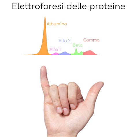 beta 2 globulina alta